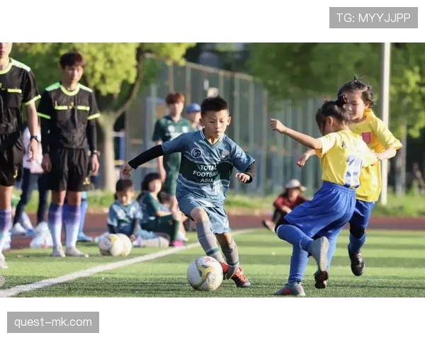 足球界新星崛起，年轻球员表现稳健备受关注